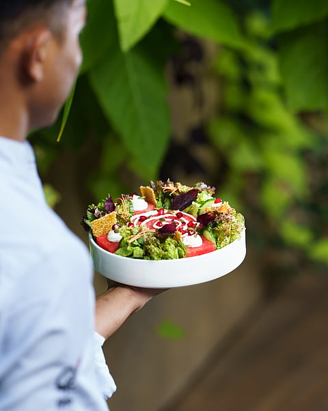 Watermelon Labneh Salad